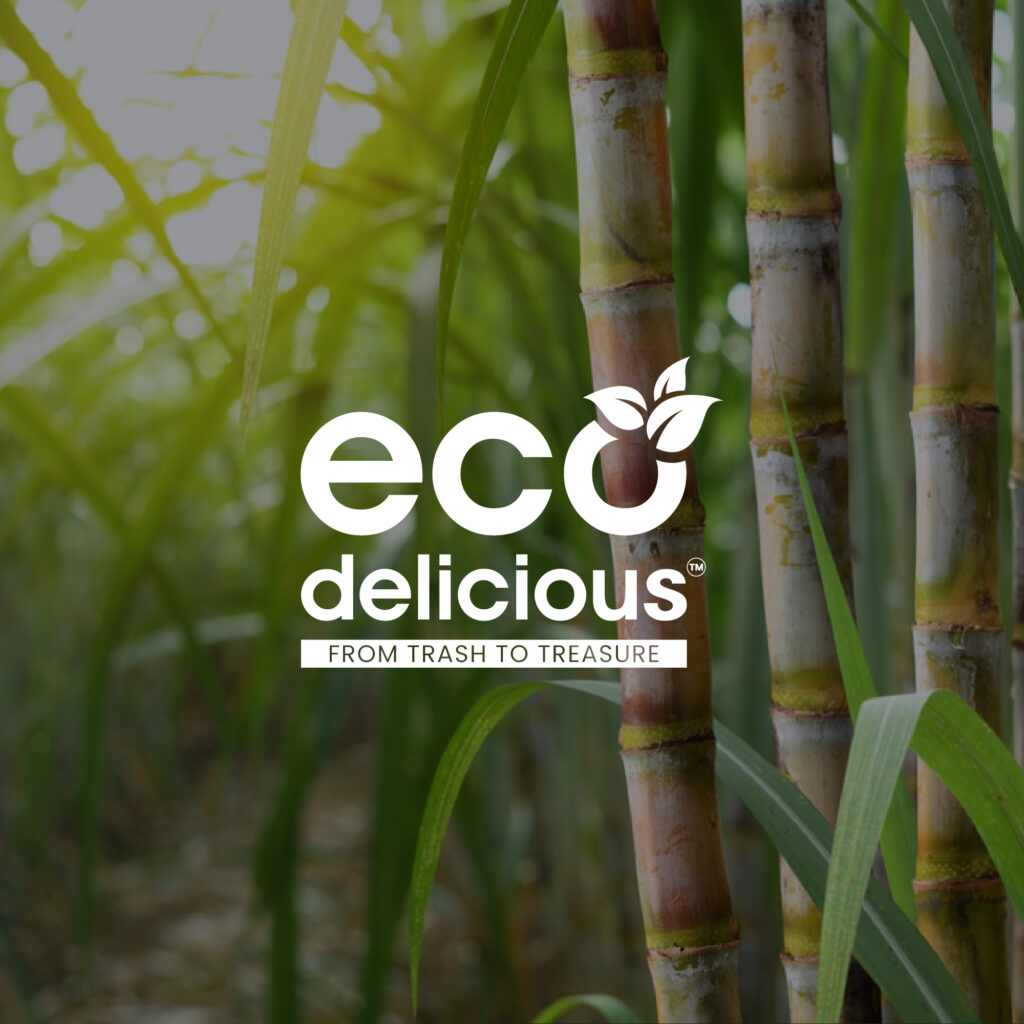 Eco Delicious-02